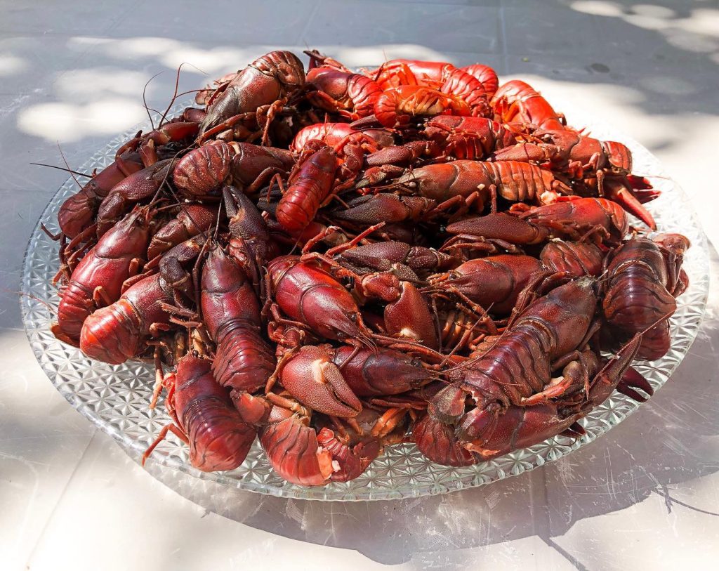 Ecrevisses américaines à la cajun